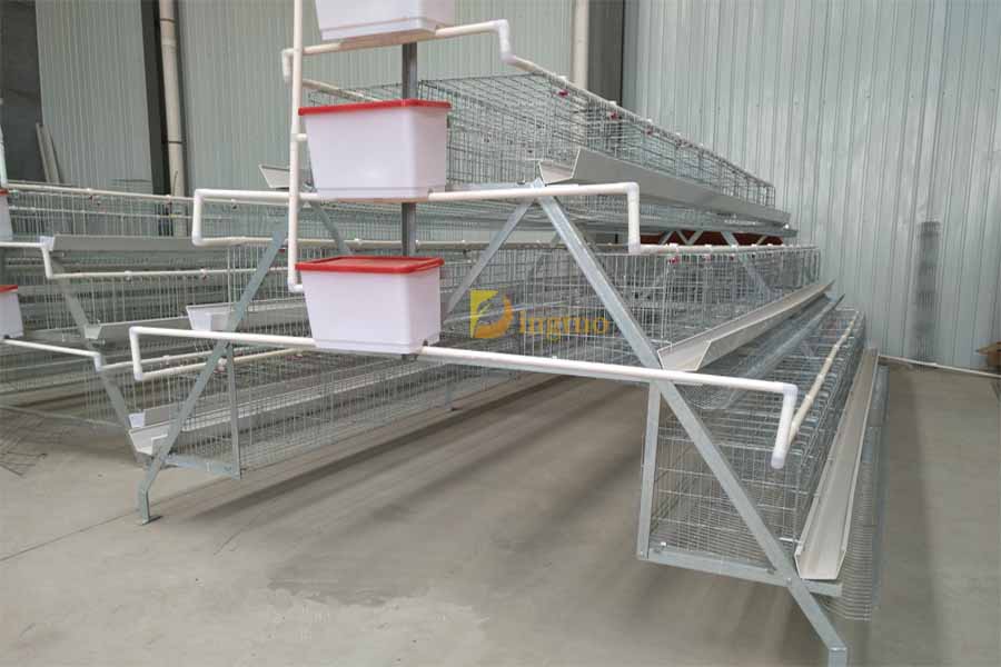 3 tiers layer cage structure size