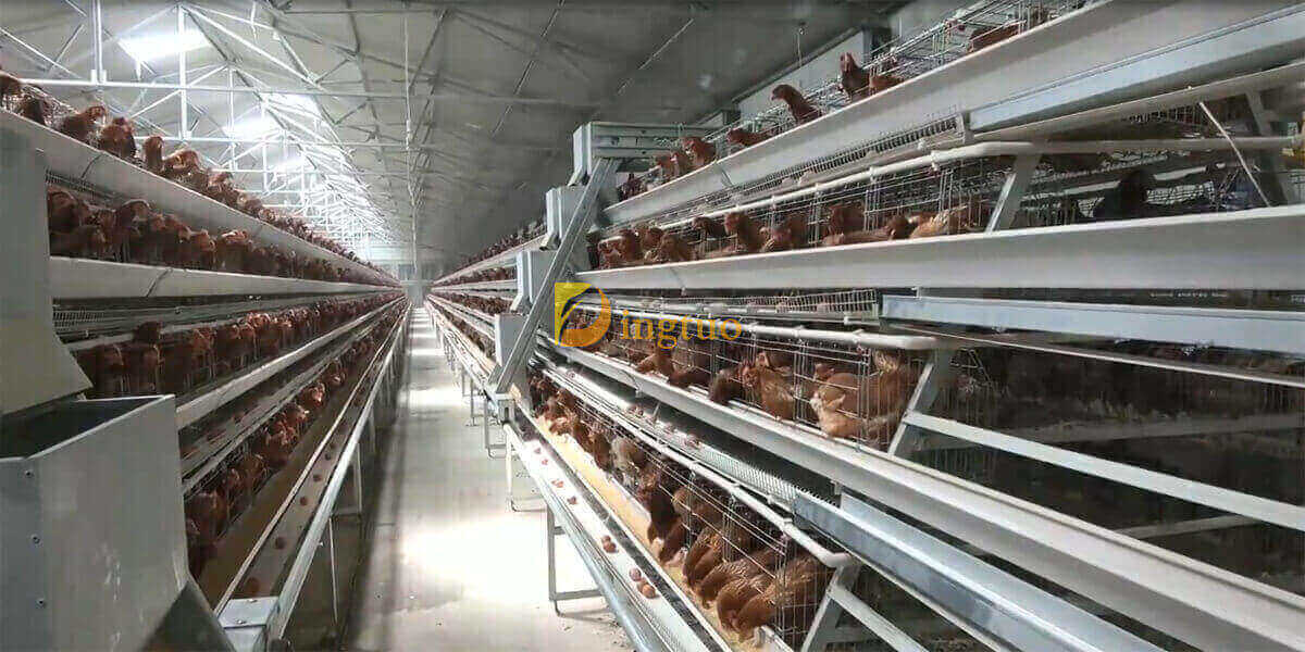 4 tiers chicken cage with feeding hopper machine