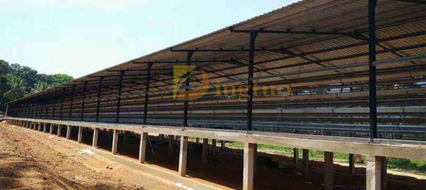 Indonesia chicken farm with 4 tier layer cage